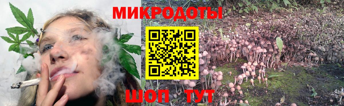 Владимир  Галлюциногенные грибы MAGIC MUSHROOMS  Вход с VPN 